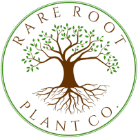 rarerootplantco.com