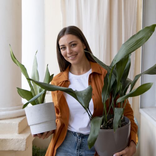 Meet the Plant Mom: Behind the Green Thumb