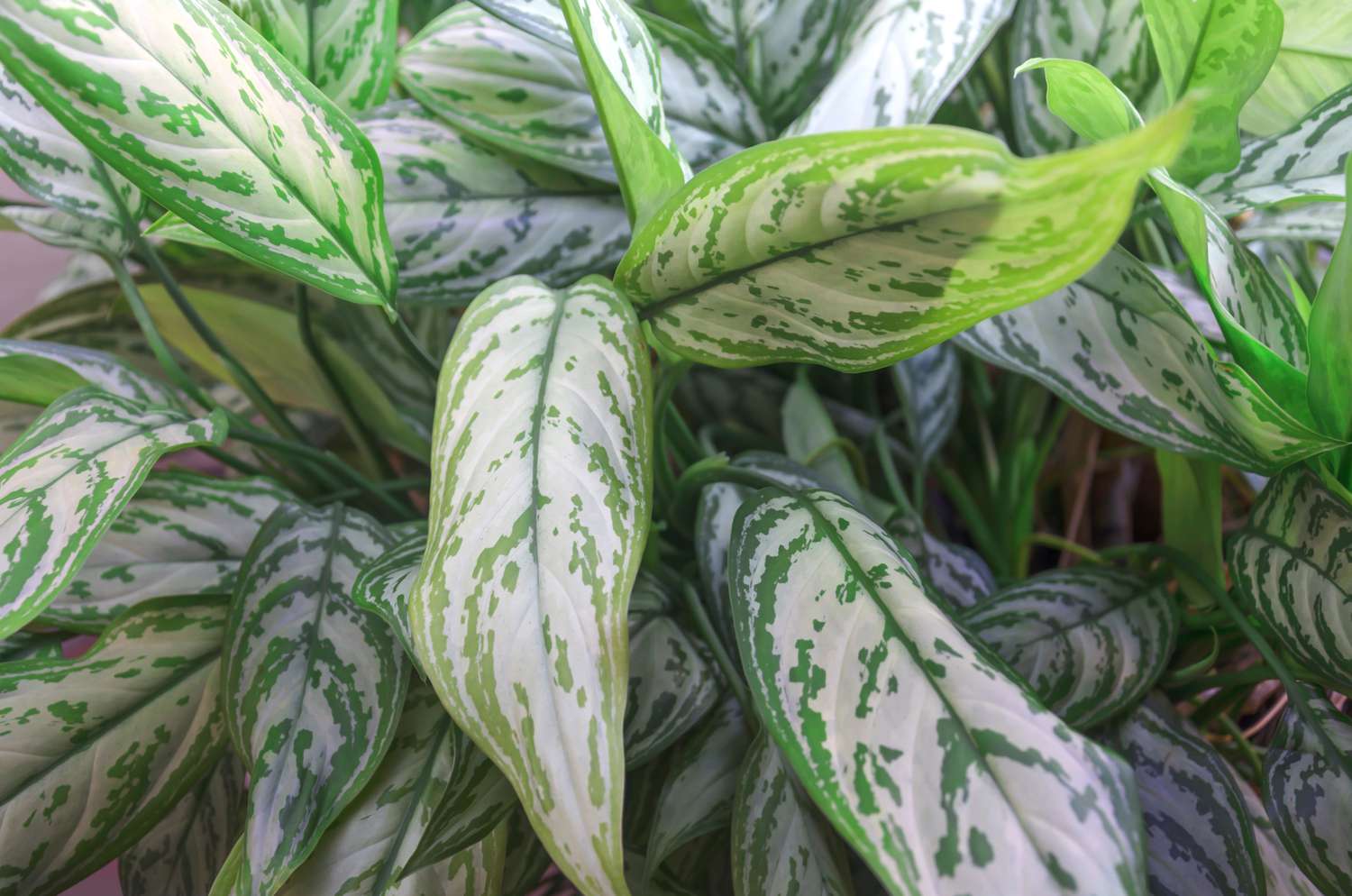 GettyImages-1461365495-85cf662b53194afcb2a0f480d60508d7